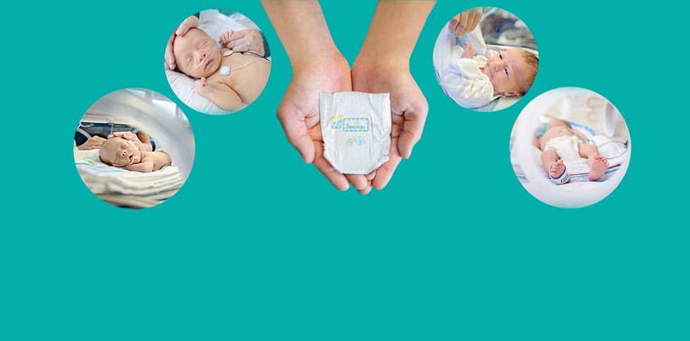 pieluszki pampers premium care pampers