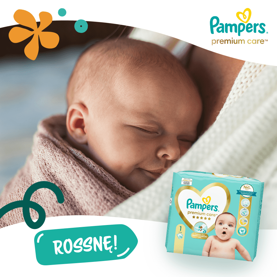 pampers premium care 43 szt