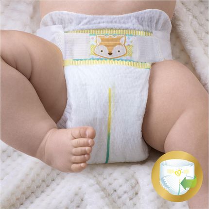 piekuchy pampers 80 szt rosman