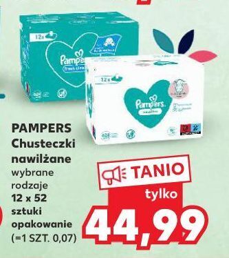 pieluchomajtki pampers 4 lidl