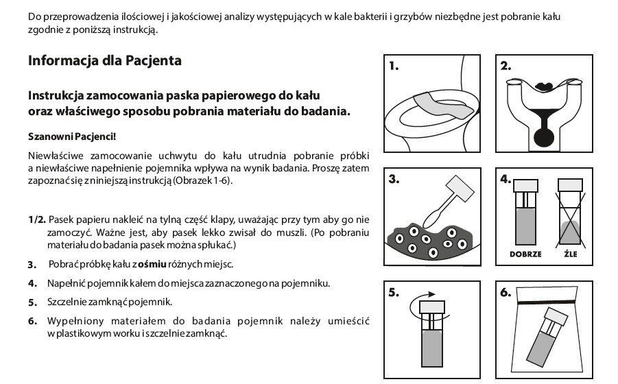 kot któremu włascicielka zmienia pampers