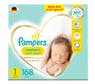 pampers dada premium 3