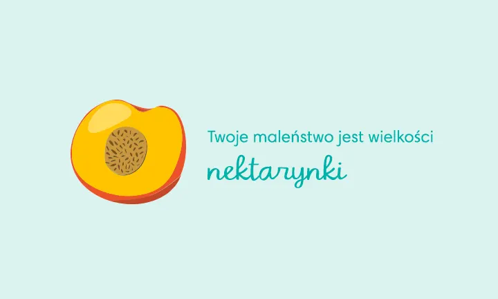 pieluchy wielorazowe kieszonki z bambusa