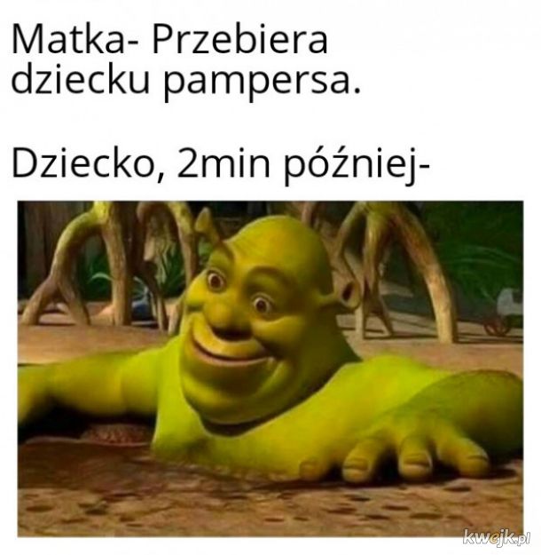 pieluchy dada 62 sztuk cena