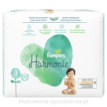 cena pampers 3 66 sztuk